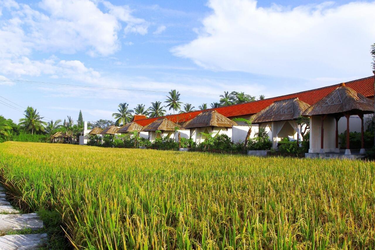 Alam Puisi Villa Ubud Buitenkant foto
